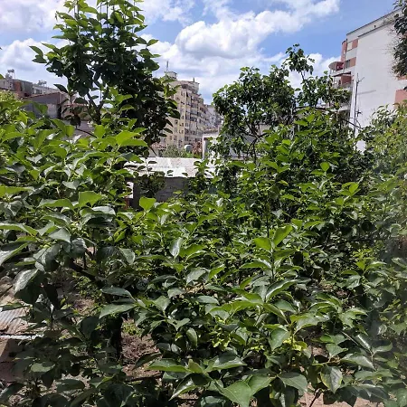 Endri's Homestay Tirana